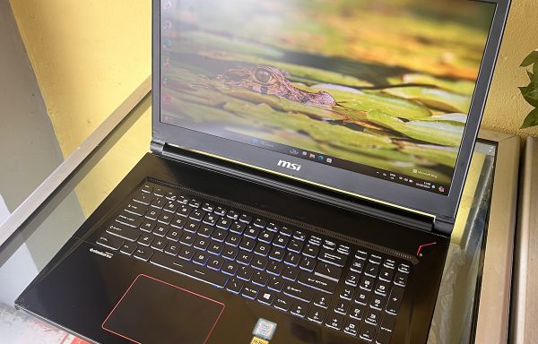 MSI GS73VR Intel Core i7 16/512 GTX 1070